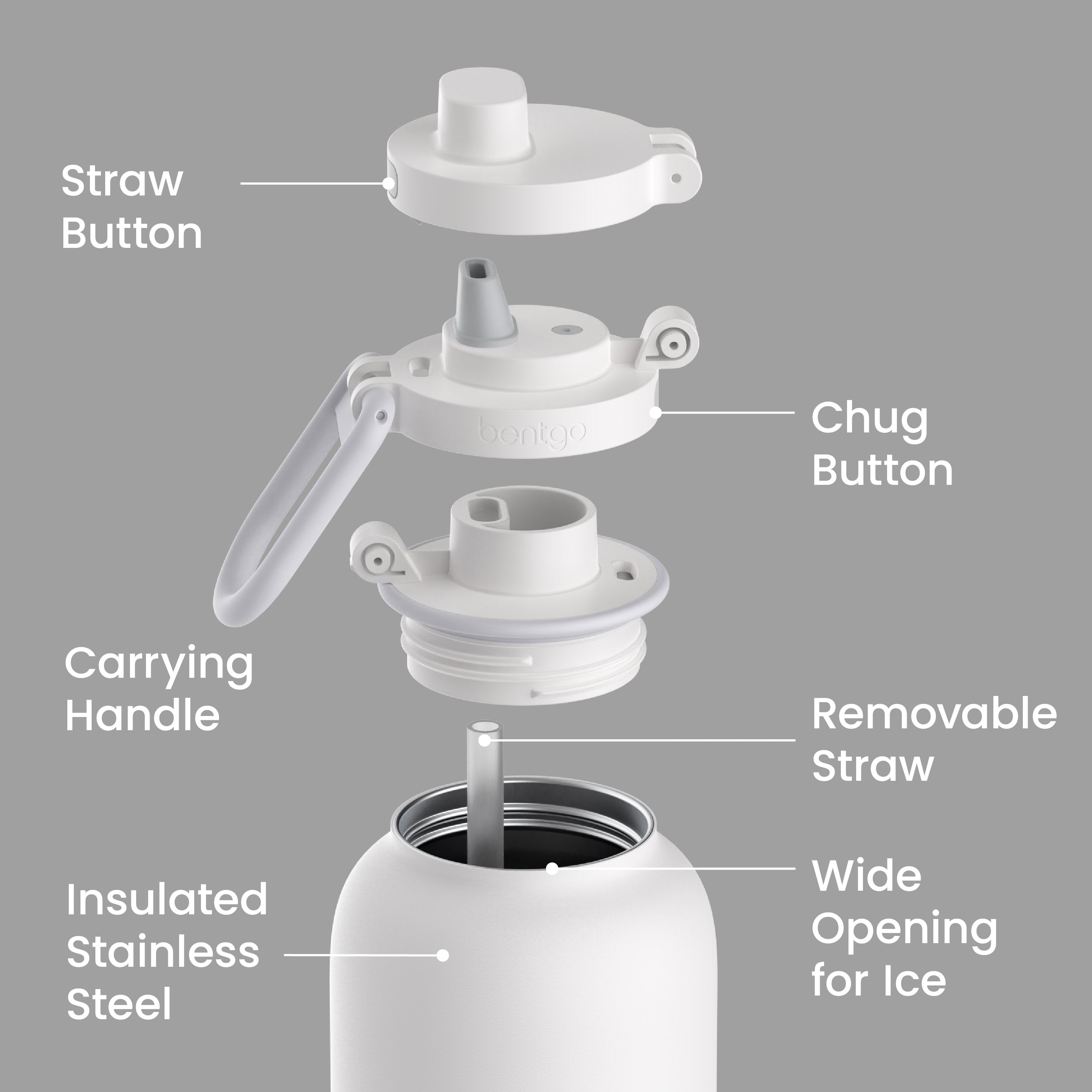 Bentgo Flip 2-in-1 Water Bottle (40 fl oz)